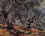 Olive Trees in Bordigher